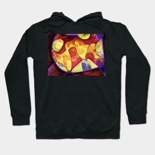 Colourful Painterly Shapes Hoodie